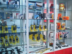 寧波河盛通電子在商品批發(fā)貿易中的優(yōu)勢與前景